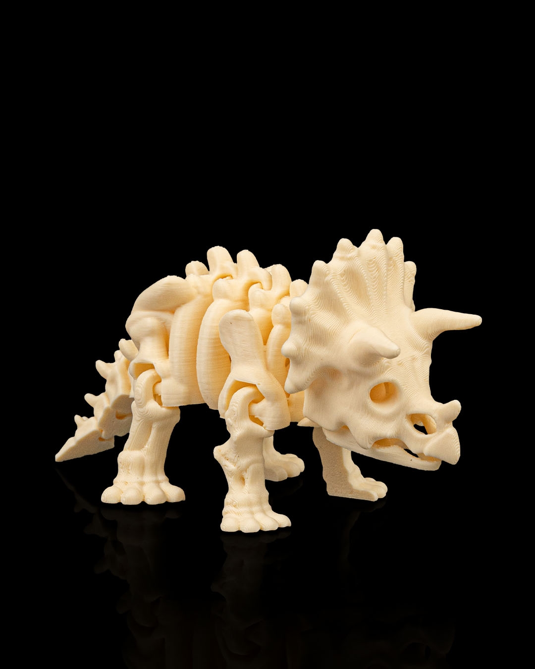 Poseable 3D-printed Triceratops skeleton
