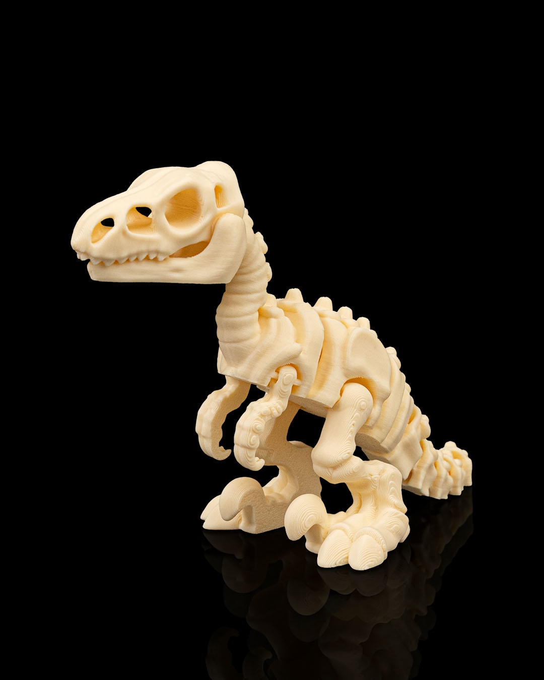 Poseable 3D-printed Velociraptor skeleton